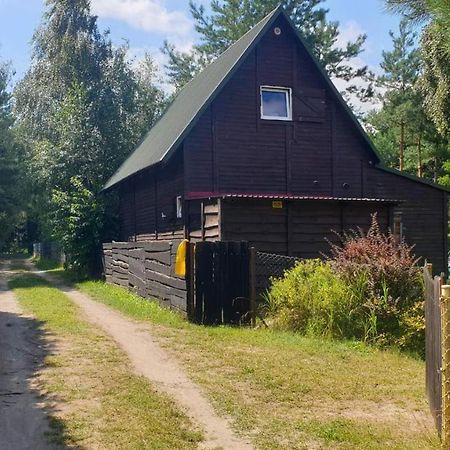 Domki Nad Jeziorem, Las, Do 10 Osob Jezioro Wilczynskie Budzislawskie - Domek Letniskowy Osobno Ogrodzony, Ogrzewany Mile Widziane Pieski, Zwierzeta- Wielkopolska, 62-550 Zygmuntowo Gm Wilczyn Kültér fotó
