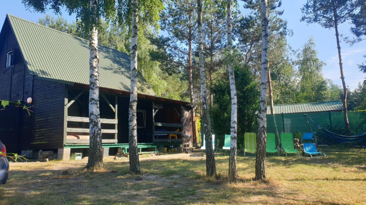 Domki Nad Jeziorem, Las, Do 10 Osob Jezioro Wilczynskie Budzislawskie - Domek Letniskowy Osobno Ogrodzony, Ogrzewany Mile Widziane Pieski, Zwierzeta- Wielkopolska, 62-550 Zygmuntowo Gm Wilczyn Kültér fotó