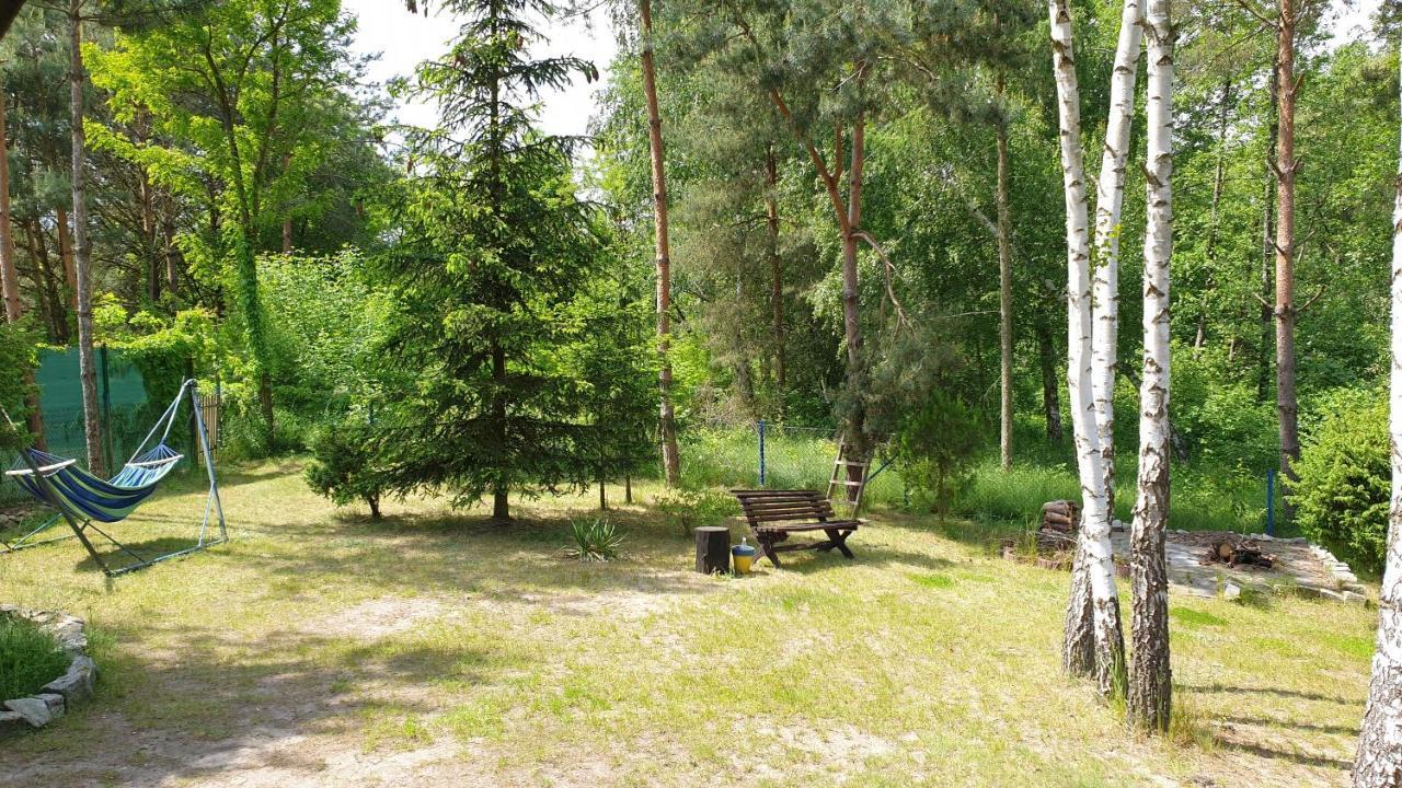Domki Nad Jeziorem, Las, Do 10 Osob Jezioro Wilczynskie Budzislawskie - Domek Letniskowy Osobno Ogrodzony, Ogrzewany Mile Widziane Pieski, Zwierzeta- Wielkopolska, 62-550 Zygmuntowo Gm Wilczyn Kültér fotó