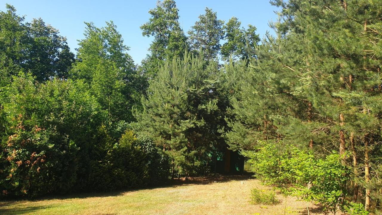Domki Nad Jeziorem, Las, Do 10 Osob Jezioro Wilczynskie Budzislawskie - Domek Letniskowy Osobno Ogrodzony, Ogrzewany Mile Widziane Pieski, Zwierzeta- Wielkopolska, 62-550 Zygmuntowo Gm Wilczyn Kültér fotó