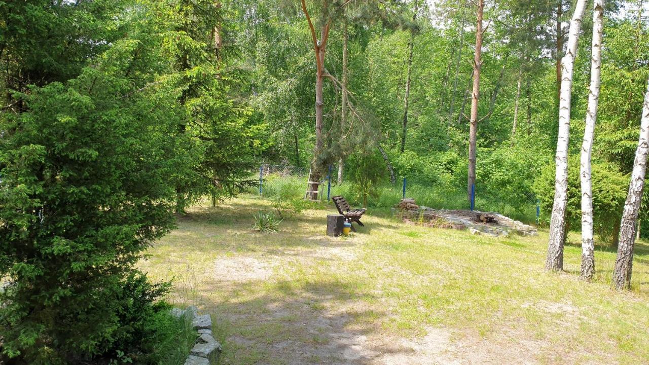 Domki Nad Jeziorem, Las, Do 10 Osob Jezioro Wilczynskie Budzislawskie - Domek Letniskowy Osobno Ogrodzony, Ogrzewany Mile Widziane Pieski, Zwierzeta- Wielkopolska, 62-550 Zygmuntowo Gm Wilczyn Kültér fotó